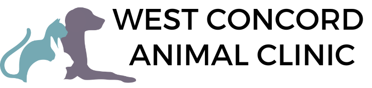 West Concord Animal Clinic
