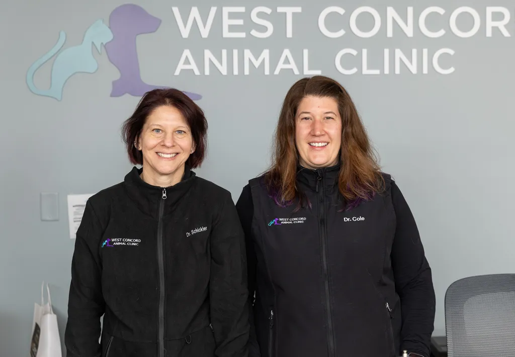 West Concord Animal Clinic welcoming friendly veterinary team caring for dogs and cats in Concord MA