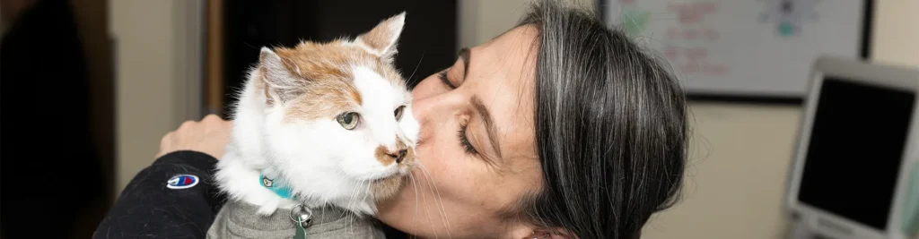 What Your Vet Is Actually Looking for During Your Pet’s Annual Checkup