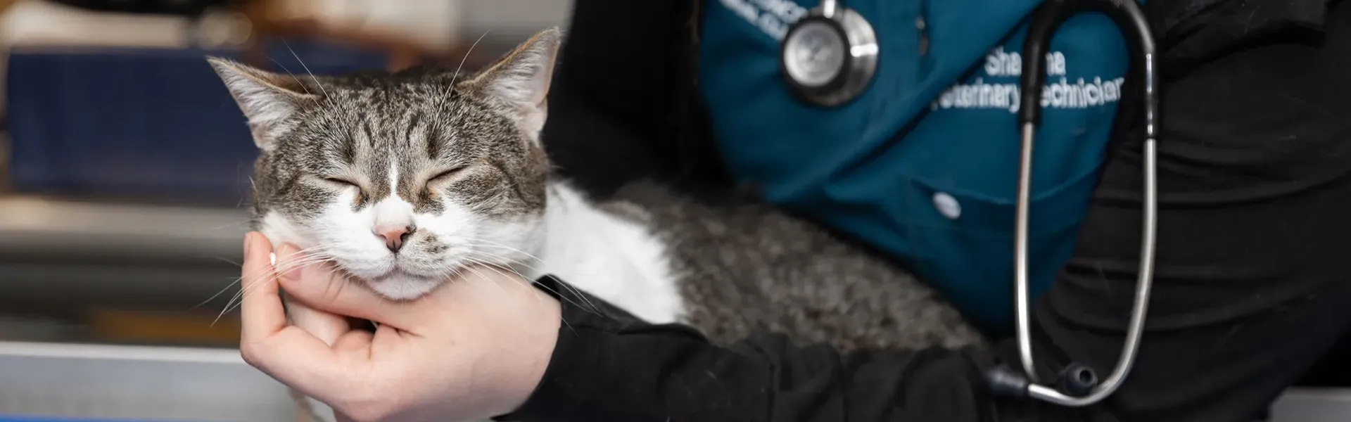 pet vaccinations concord ma