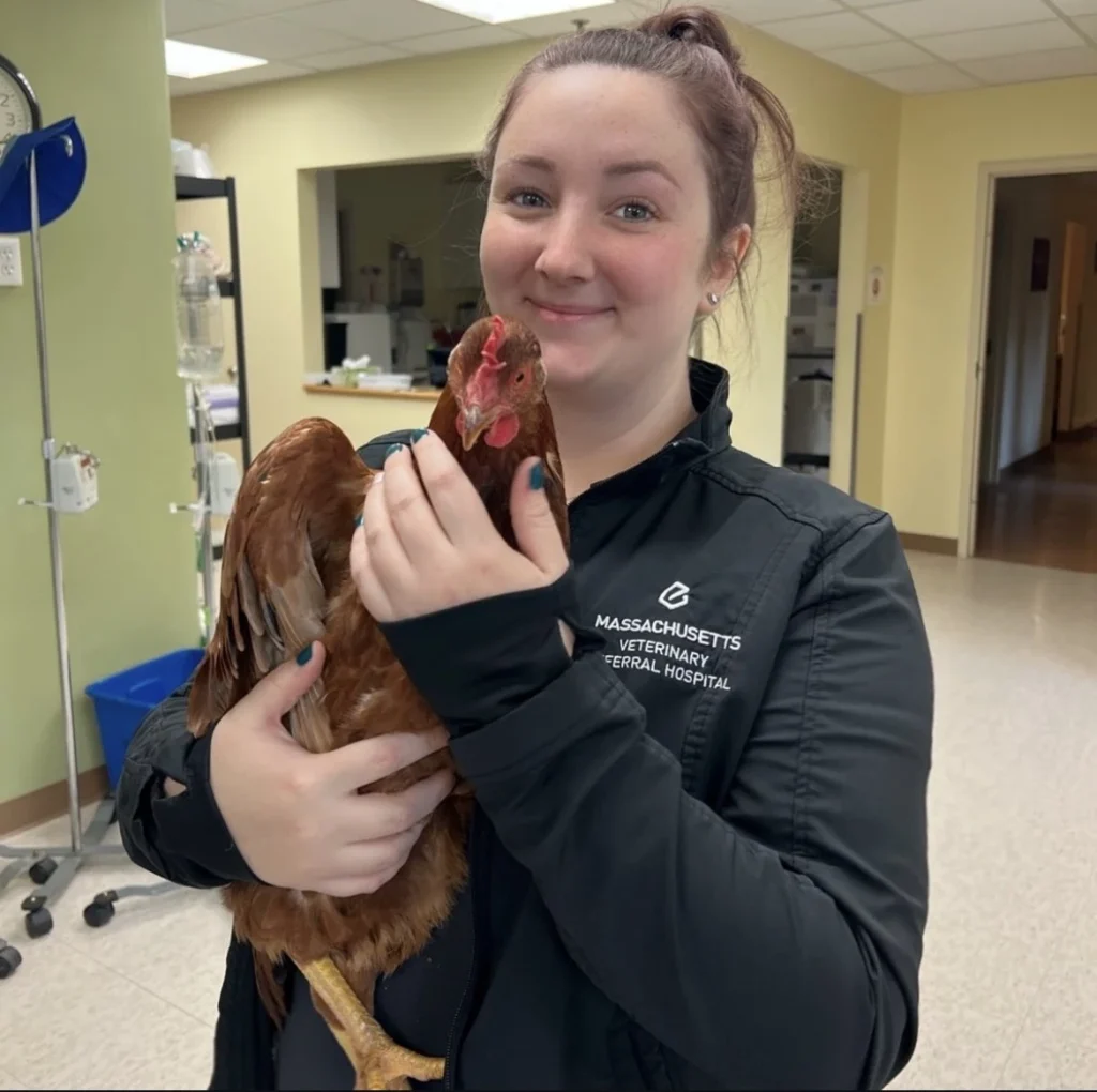 Concord MA Bird and Avian Veterinary Care for Animals