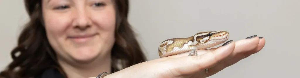 Snake Vet Care in Concord Ma